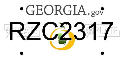 RZC2317 Georgia License Plate