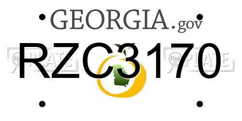 RZC3170 Georgia License Plate