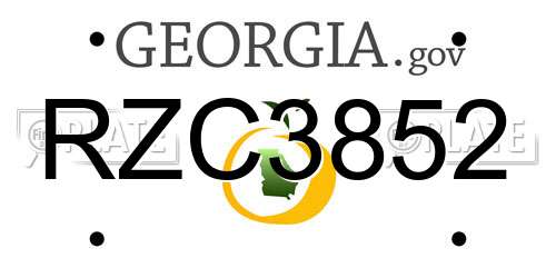 RZC3852 Georgia License Plate