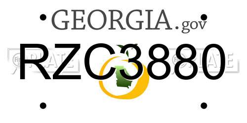 RZC3880 Georgia License Plate