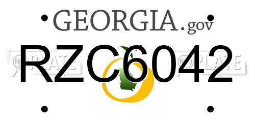 RZC6042 Georgia License Plate
