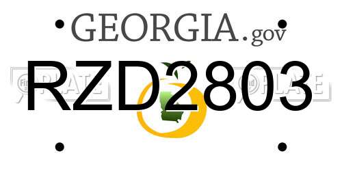 RZD2803 Georgia License Plate