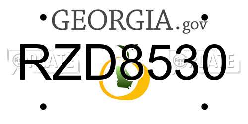 RZD8530 Georgia License Plate