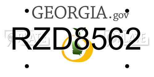 RZD8562 Georgia License Plate