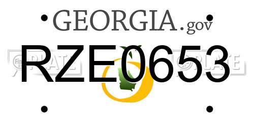 RZE0653 Georgia License Plate