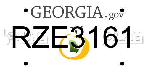 RZE3161 Georgia License Plate