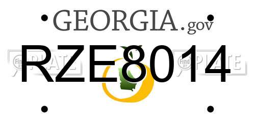 RZE8014 Georgia License Plate