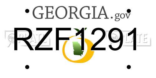 RZF1291 Georgia License Plate