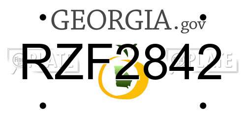 RZF2842 Georgia License Plate