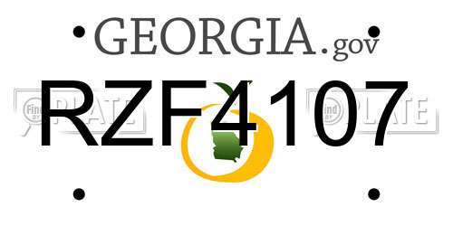RZF4107 Georgia License Plate