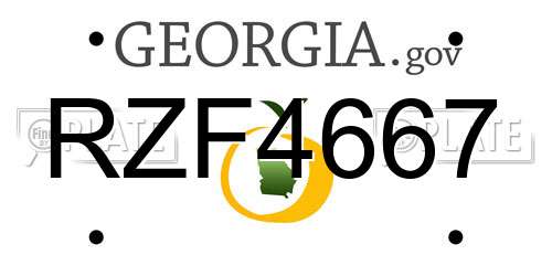 RZF4667 Georgia License Plate