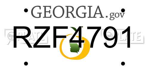 RZF4791 Georgia License Plate