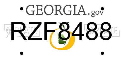 RZF8488 Georgia License Plate