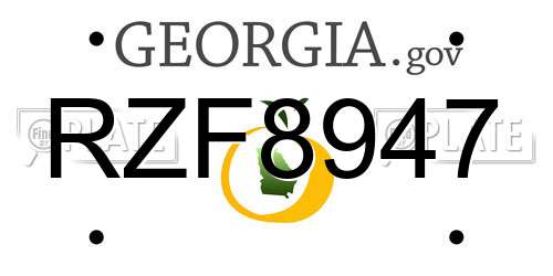 RZF8947 Georgia License Plate