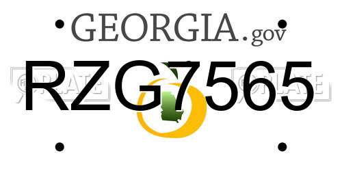 RZG7565 Georgia License Plate