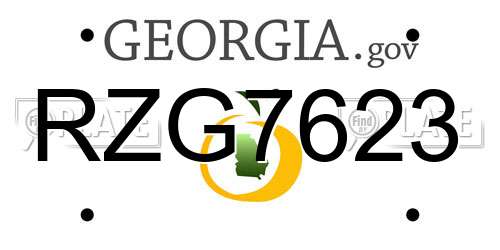 RZG7623 Georgia License Plate