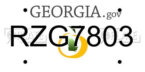 RZG7803 Georgia License Plate