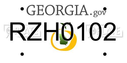 RZH0102 Georgia License Plate