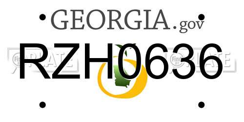RZH0636 Georgia License Plate