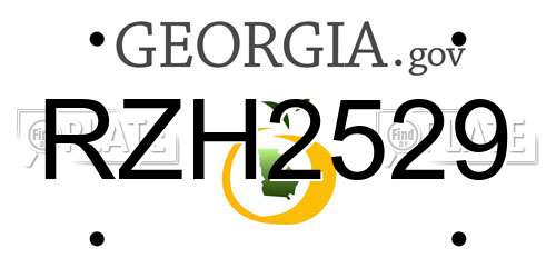 RZH2529 Georgia License Plate