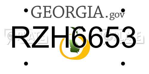 RZH6653 Georgia License Plate