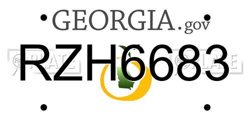 RZH6683 Georgia License Plate