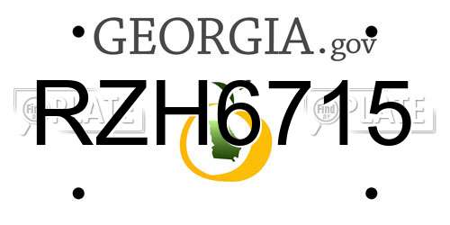 RZH6715 Georgia License Plate