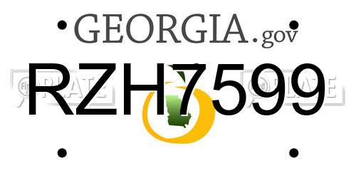 RZH7599 Georgia License Plate