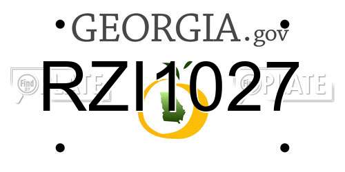 RZI1027 Georgia License Plate