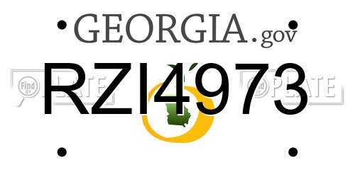 RZI4973 Georgia License Plate