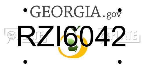 RZI6042 Georgia License Plate