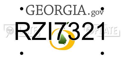 RZI7321 Georgia License Plate