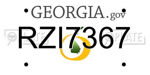 RZI7367 Georgia License Plate