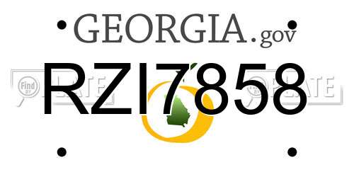 RZI7858 Georgia License Plate