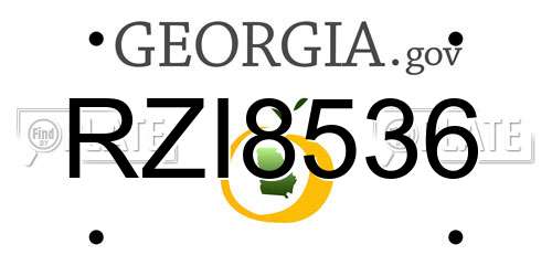 RZI8536 Georgia License Plate