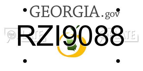 RZI9088 Georgia License Plate