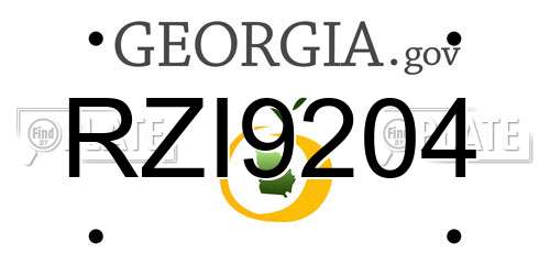 RZI9204 Georgia License Plate