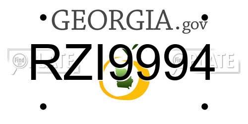 RZI9994 Georgia License Plate