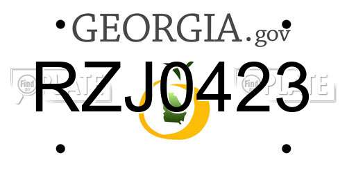 RZJ0423 Georgia License Plate