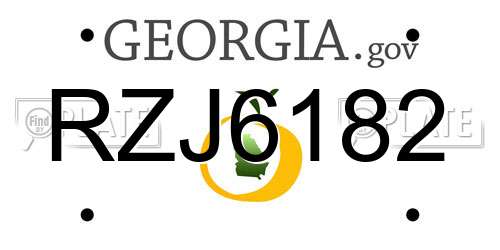 RZJ6182 Georgia License Plate