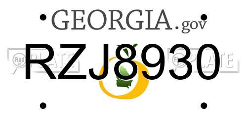 RZJ8930 Georgia License Plate