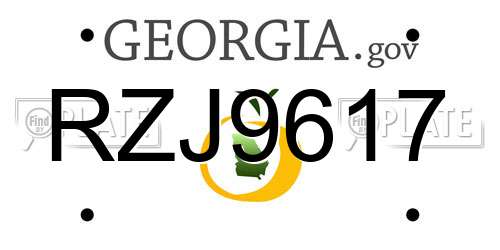RZJ9617 Georgia License Plate