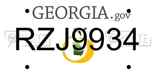 RZJ9934 Georgia License Plate
