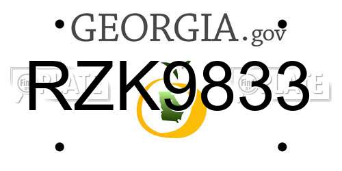 RZK9833 Georgia License Plate