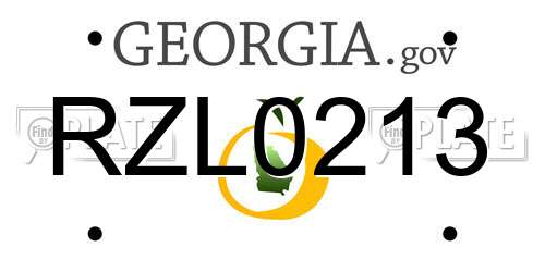 RZL0213 Georgia License Plate