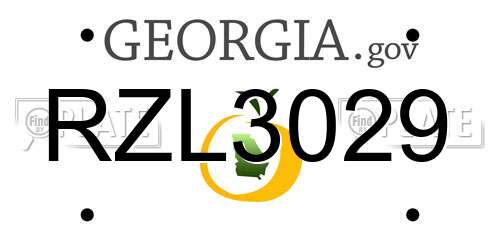 RZL3029 Georgia License Plate