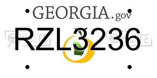 RZL3236 Georgia License Plate