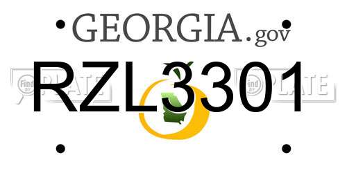 RZL3301 Georgia License Plate
