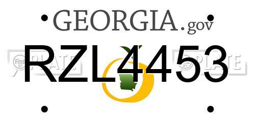 RZL4453 Georgia License Plate