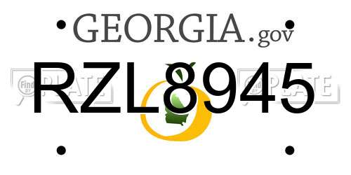 RZL8945 Georgia License Plate